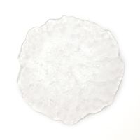 Bガラスプレート(S) クリア 1セット（1枚×2） LAKOLE/ラコレ