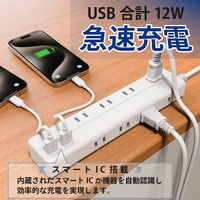 トップランド 延長コード 電源タップ 1m 8個口 USBーA充電ポート(2個口)付 抗菌加工 STPA810-WT 1個