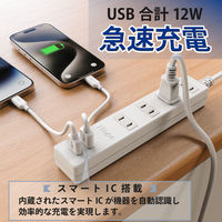 トップランド 延長コード 電源タップ 1m 4個口 USBーA充電ポート(2個口)付 抗菌加工 STPA410-WT 1個