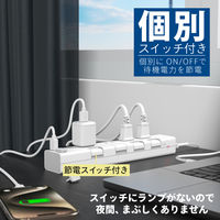 トップランド 延長コード 電源タップ 1m 4個口 個別スイッチ USB付 雷ガード 抗菌 STPC100-WT 1個