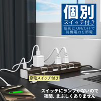 トップランド 延長コード 電源タップ 1m 4個口 個別スイッチ USB付 雷ガード 抗菌 STPC100-BR 1個