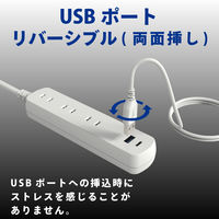 トップランド 延長コード 電源タップ 1m 3個口 USBーA+C充電付 PD対応 両面挿し TPD10-WT 1個