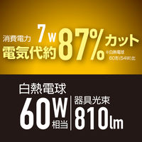 YAMAZEN LEDミニシーリングライト 電球色 白熱電球60W相当 省エネ 工事不要 MLC-070L 1個