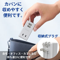 トップランド 電源タップ 2個口 USBーA充電ポート(2個口)付 2.4A 雷ガード 抗菌 STPP300-GR 1個