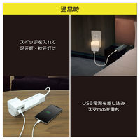 トップランド 充電式LEDライト付き USBアダプタ 2個口 3段階調光 停電時自動点灯 CHAC24L-WT 1個