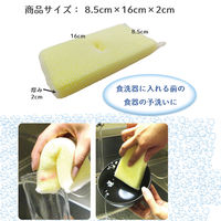 キッチンスポンジ キクロンプロ 抗菌 前洗いスポンジ 1パック（5個入）キクロン
