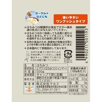 ミャンマー産ヒマワリはちみつ 500g 3本 梅屋ハネー 蜂蜜　ハチミツ