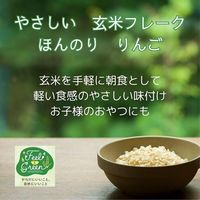 Feel&Green やさしい 玄米フレーク ほんのりりんご 120g 1袋 日本食品製造