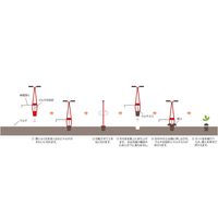 サンエー ホーラー H105 1個（直送品）