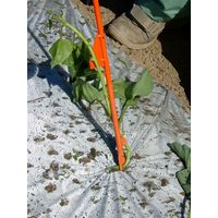 サンエー さすけ APー02 1個（直送品）