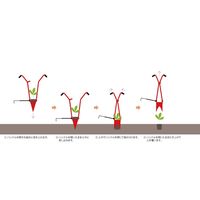 サンエー ホーラー(開閉式) H135P 1個（直送品）