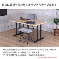 エイ・アイ・エス テーブル脚 金属角枠脚 IIタイプ 幅630×奥行85×高さ695mm ブラック TBK-IIN BK 1セット(2本入)（直送品）