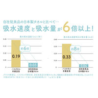 バスタオル卒業宣言　パールグレーＳＧＳーＰＧＹ 1枚