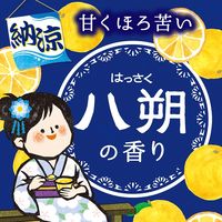 いい湯旅立ち ボトル 納涼にごり湯 八朔の香り 温泉成分配合 にごり湯タイプ 500g 1セット（1個×3） 医薬部外品 白元アース
