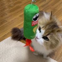 猫じゃらし プリングルズ 緑 1本 ワイワオ 猫用 おもちゃ