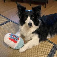 ペットのピコピコトイ アイシー 1個 ワイワオ 犬用 おもちゃ