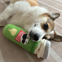 ペットのピコピコトイ プリングルズ 緑 1個 ワイワオ 犬用 おもちゃ