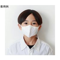 Livinguard アンチウイルスマスク (ホワイト) 通気口無し KIDS 200枚 GM21-82422K 1箱(100枚)（直送品）