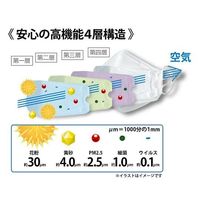 アズワン 自慢のマスク 50枚入 64-8274-29 1ケース(50枚)（直送品）