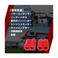 長輝LITETEC 配線コネクター 6AWG 1個入 CO-50106 1袋 65-9622-50（直送品）