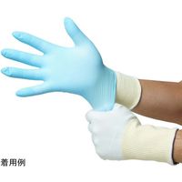 ハンボ 耐切創手袋 ハイパーガード ノンコートベーシック S 5双入 WS3249S 1組(5双) 67-8948-04（直送品）