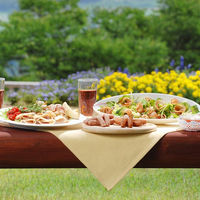 信州ハム 【お中元】爽やか信州軽井沢ギフト SKー510 1箱（直送品）