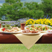 信州ハム 【お中元】爽やか信州軽井沢ギフト SKー480 1箱（直送品）