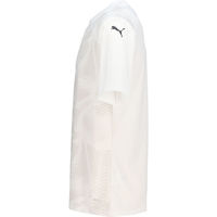 PUMA(プーマ) サッカー ワンポイント TEAMULTIMATE グラフィック ゲームシャツ L 04 706791 1枚（直送品）