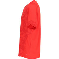 PUMA(プーマ) サッカー ゲームシャツ TEAMCUP TR SSシャツ S ＰＵＭＡ　Ｒｅｄ 660213 1枚（直送品）