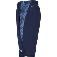 PUMA(プーマ) サッカー ハーフパンツ TEAMCUP TR HALF パンツ XXL 06 660107 1枚（直送品）