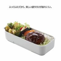 岩崎工業 イージーケアランチボックススリム1段600ml パッキン一体型 お弁当箱 Bー1491 ライトグレー 1個