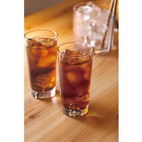 味の素AGF AGF プロフェッショナル 烏龍茶濃味 インスタント 冷水可 2L用 1箱（10本入）