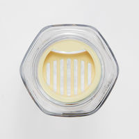 スケーター 六角ブローボトル250ml 水筒 クリア くまのプーさん ディズニー 軽量 ＰＤＨ3 1個