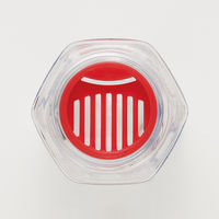 スケーター 六角ブローボトル250ml 水筒 クリア ムーミン 軽量 ＰＤＨ3 1個