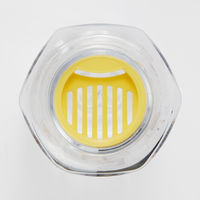 スケーター 六角ブローボトル350ml 水筒 クリア くまのプーさん ディズニー 軽量 ＰＤＨ4 1個