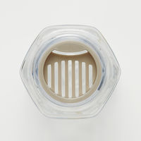 スケーター 六角ブローボトル250ml 水筒 クリア ミッフィー うさぎ 軽量ＰＤＨ3 1個