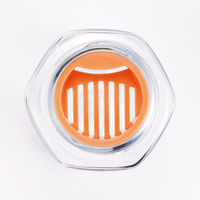 スケーター 六角ブローボトル250ml 水筒 クリア SNOOPY スヌーピー 軽量 ＰＤＨ3 1個