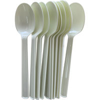 K’sインターナショナルマネジメント プラスチックスプーン 530013 1セット(10本×100個)