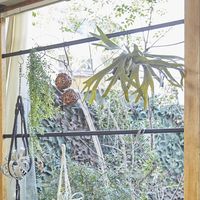 清水 ラブリコ IXK-8 伸縮アイアンロッド ブラック M 1本 & SH-ISH100K アイアンSフック 4個 1セット（直送品）