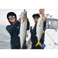 ハヤブサ FS426-30-1 TG ピンクイワシ 1個（直送品）