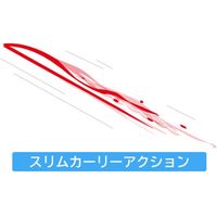ハヤブサ SE166-8-6ネクタイフックセット ダークサイドブラック　1袋（直送品）