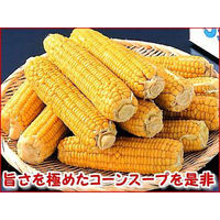 コーンポタージュスープ (16g×10本) 食品 便利 コーン ポタージュ 【沖縄・離島エリア配送不可】（直送品）