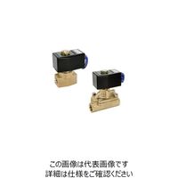 エスコ AC200V・Rc1/4” 2方向電磁弁(パイロット式) EA153HB-12 1個（直送品）