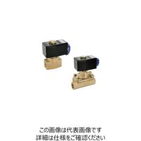 エスコ AC200V・Rc3/8” 2方向電磁弁(パイロット式) EA153HB-34 1個（直送品）