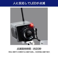 朝日電器 ダミーカメラ 筒型 DC-001 1個