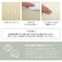 萩原 水拭きできる すき間ができにくい い草風 小型置き畳 幅650×奥行650×高さ15mm グリーン 159055211 1枚（直送品）