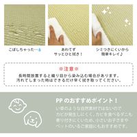 萩原 水拭きできる い草風 置き畳 彩模様 幅820×奥行820×高さ25mm ブラウン 159055691 1セット(6枚入)（直送品）