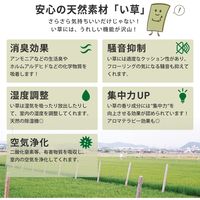 萩原 折り畳める 畳マットレス 鞍馬 ダブルサイズ 1400×2000mm 159059210 1枚（直送品）