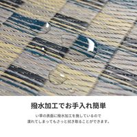 萩原 涼しさを感じられる和風な市松柄のい草ラグ キハチ 180cm×180cm ブルー 81948401 1枚