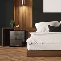 A-Stage 1ドア冷蔵庫 20L ミラーガラス (ペルチェ式：ブラック)AR-20L01MG　1台（直送品）